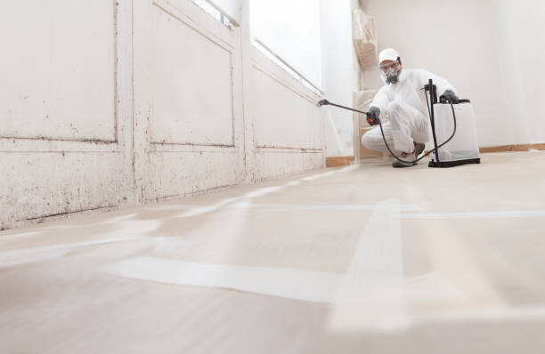 24/7 Emergency Mold Remediation experts in Monmouth Junction, NJ
