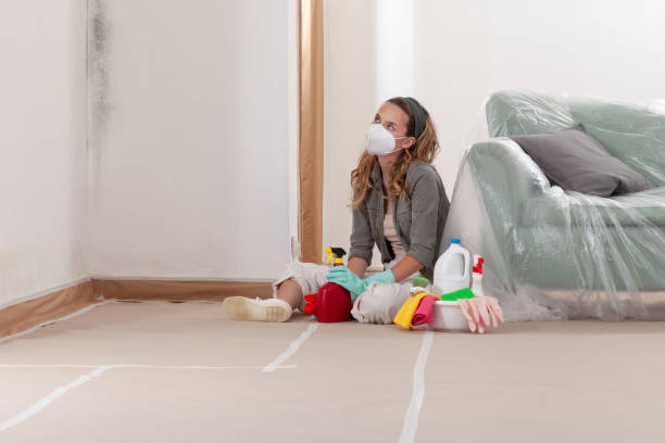 Reliable Mold Remediation contractor in Monmouth Junction, NJ by Cheap Mold Removal